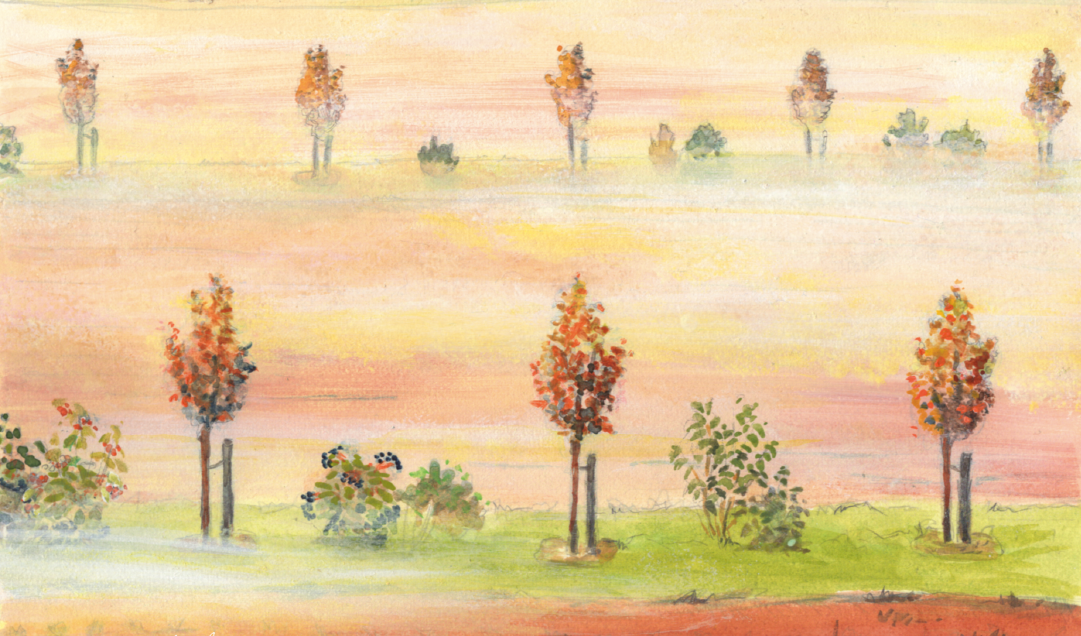 Agroforstsysteme sind unterschiedlich - und so auch ihre ökologische Bewertung